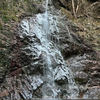 払沢の滝に到着🙌
最近暖かい日もあったけど少し凍結している✨
これで20%の滝結氷率。
この時期は毎朝8時頃に、檜原村観光協会の方が確認しに行ってるそう。
ちなみに直近で100%だったのは2018年…！

▼2026年 払沢の滝結氷率
https://hinohara-kankou.jp/fuyumatsuri/2026年-払沢の滝結氷率/