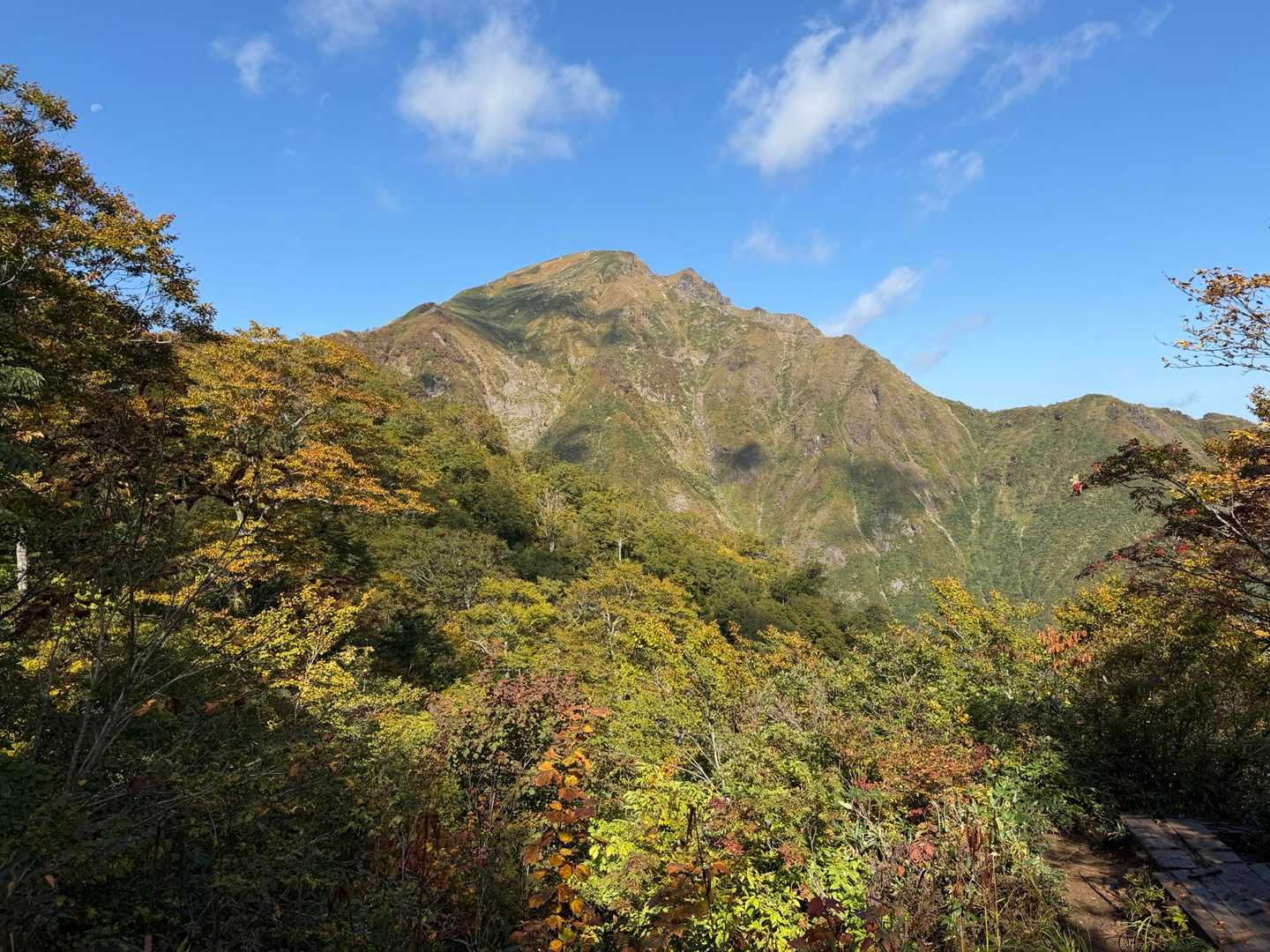 山頂の耳ふたつ🐱