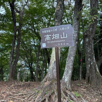 ピークがたくさん！！