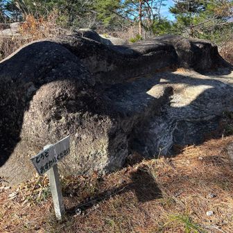 どうぞおすわりください。の立て札。
石のソファです。座ると冷たい🥶