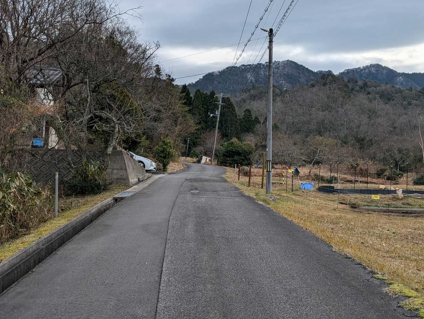 登っていきます