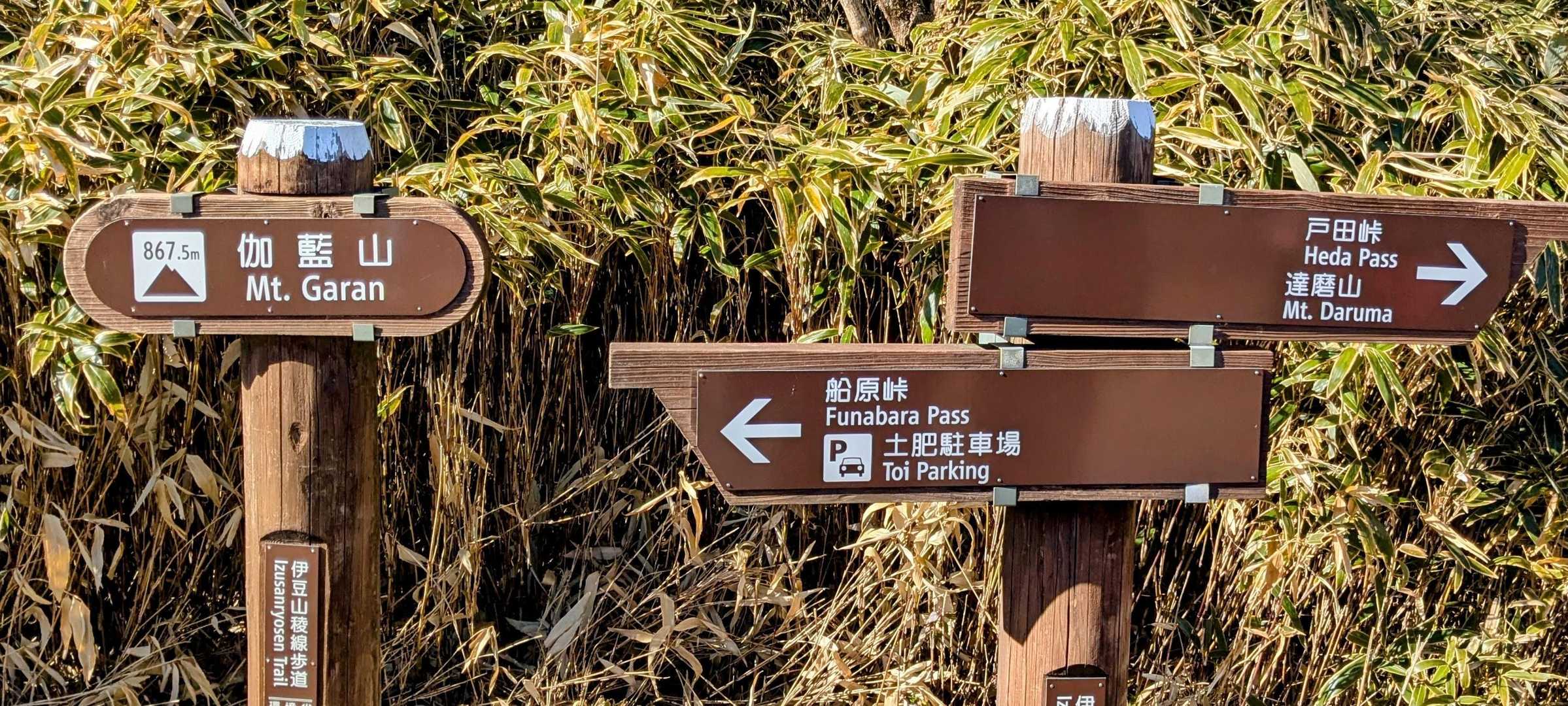 大曲茶屋バス停-伽藍山-古稀山-達磨山-金冠山 縦走コースの写真