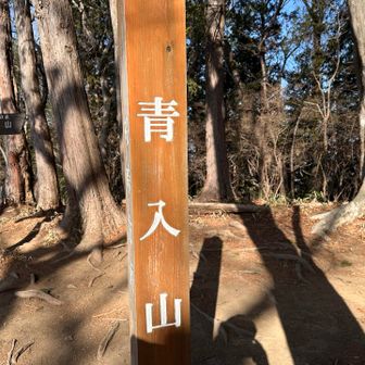 青入山