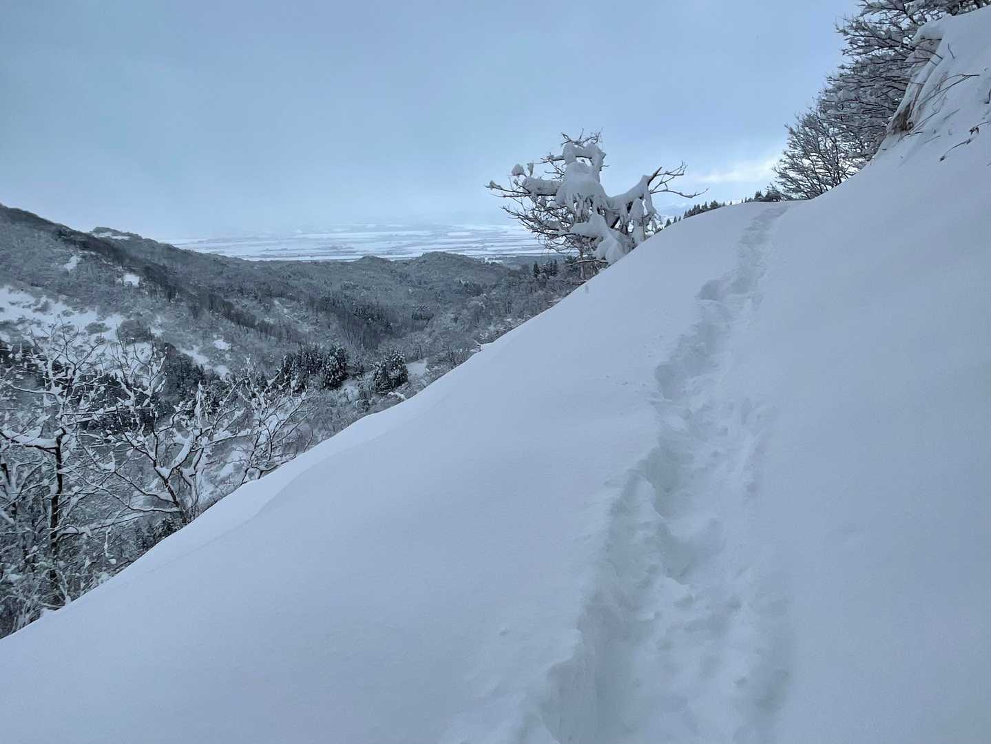 こっちのコースはちょいスリルある