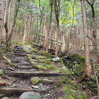 まだまだ歩くよー🚶‍♂️
