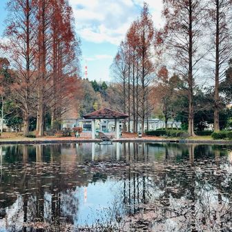 ハゲチャビン🍂
カルチャーパーク。