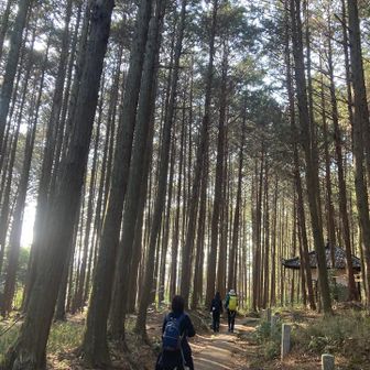 わたしにとって今回が2026年度の初登りとなりました⛰️今年も安全に楽しく登れますように