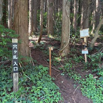 朝鍋登山口へ降りるとロードが長いので
穴ヶ乢↔️朝鍋鷲ヶ山
ピストンでここへ降りてきました