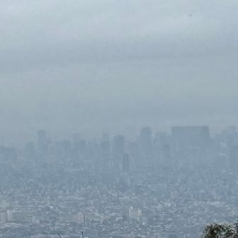 都会のビル群🏙️