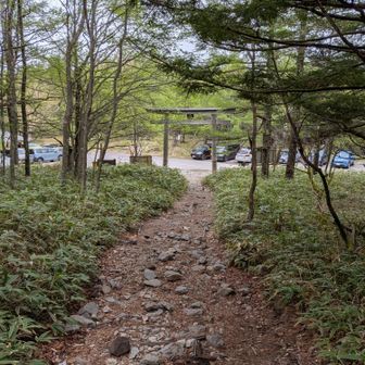 七合目登山口に到着。
その後、相棒と茅野駅へ。🚗