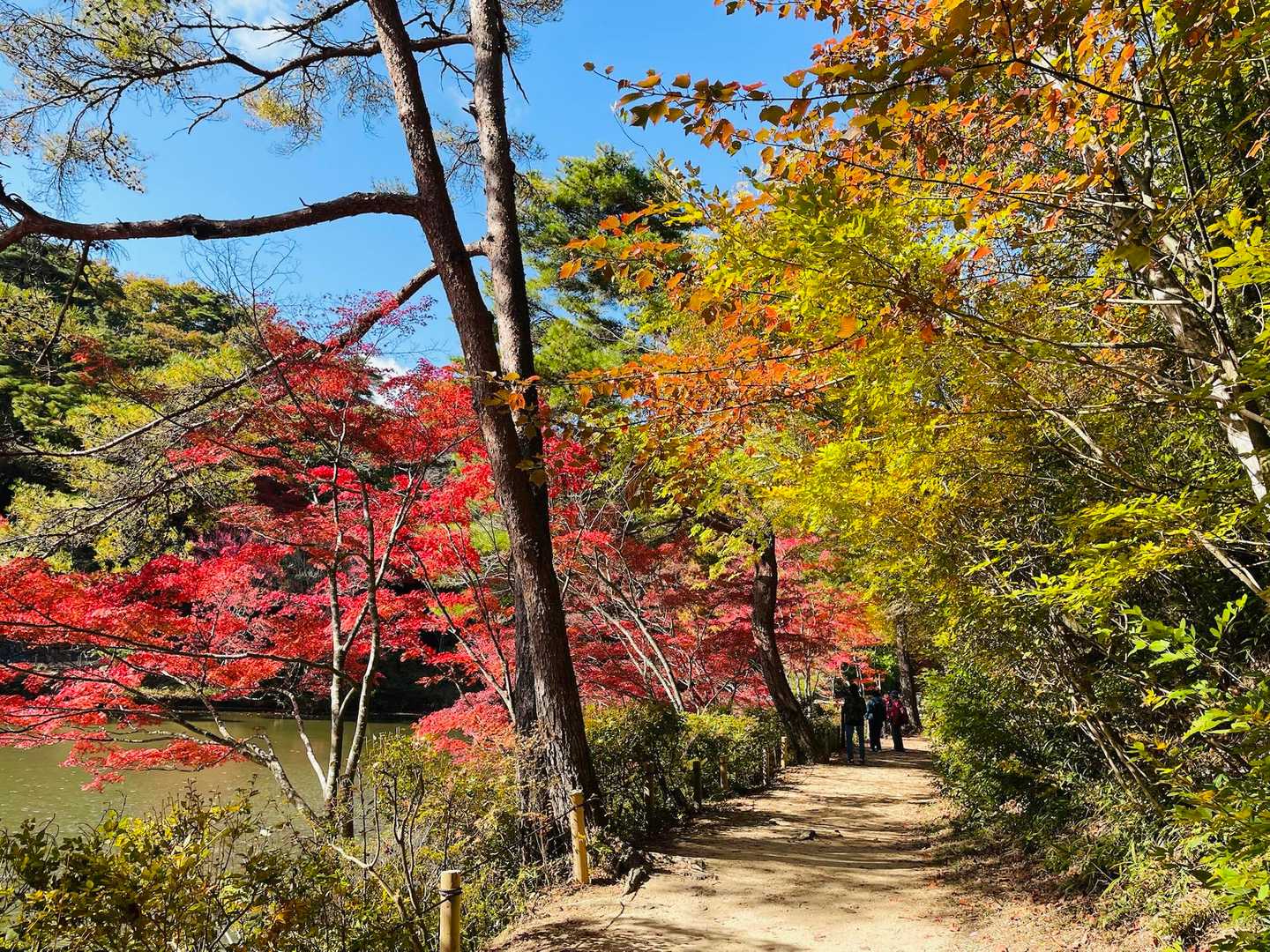 新神戸駅-滝山城跡登山口-西門-正門 縦走コースの写真