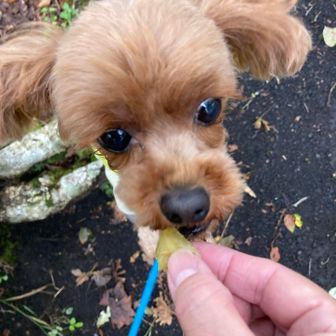 お芋休憩🍠