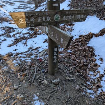 旧正丸峠の「関東ふれあいの道」の道標。今回は左へ。