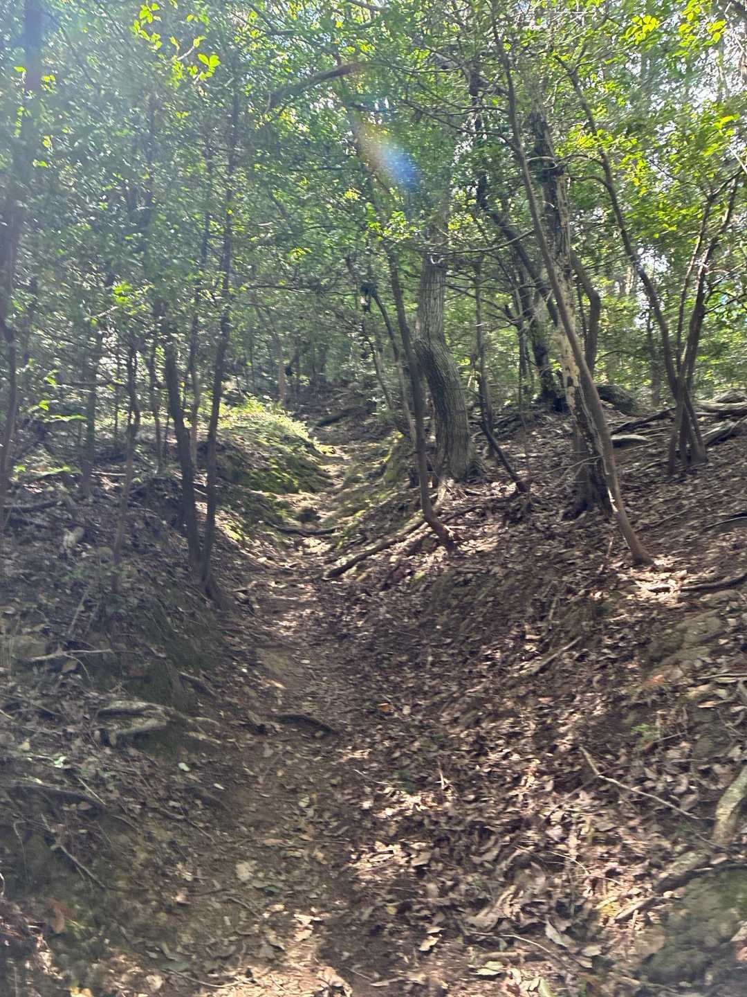 銀峰-二上山-第二十六経塚「二上山 陀羅尼品」 周回コースの写真