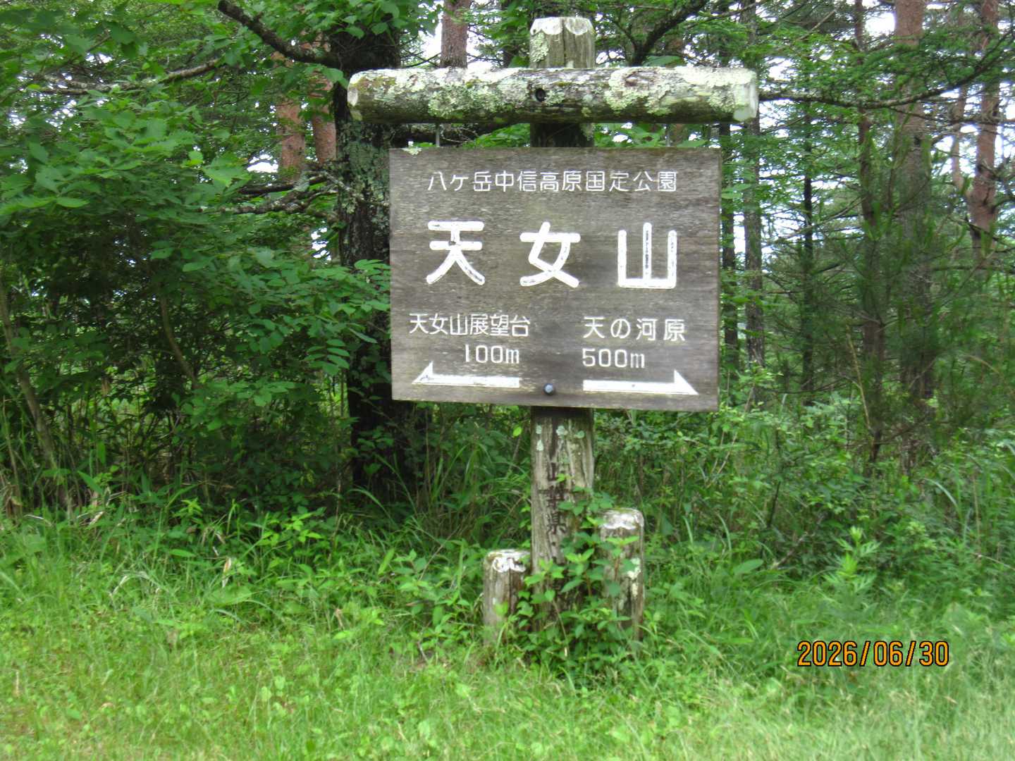 ほぼ公園の中にある山頂