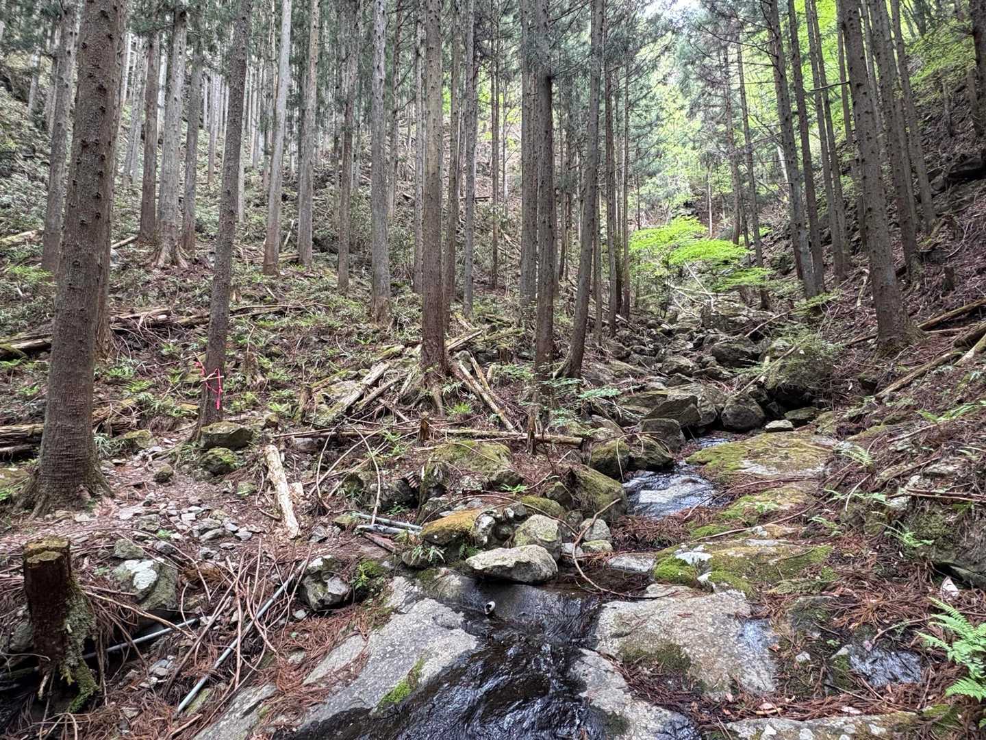四ッ又山-鹿岳 縦走コースの写真