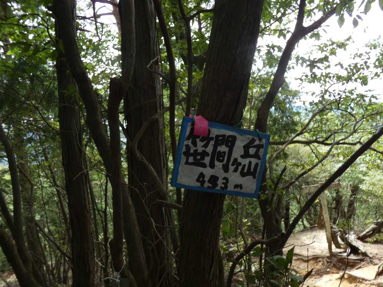 山頂~♪