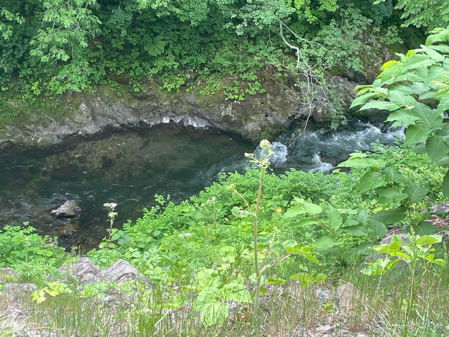 川が綺麗