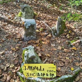 小無間🙌
ここまで来れば大無間までスキップランラン