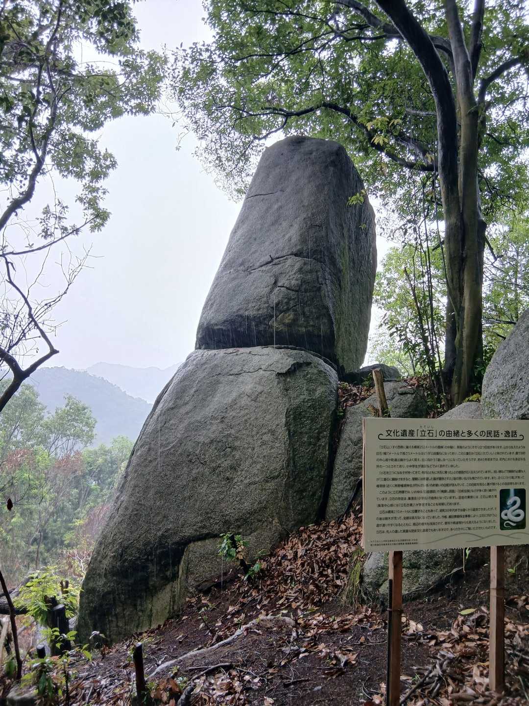 巨大岩