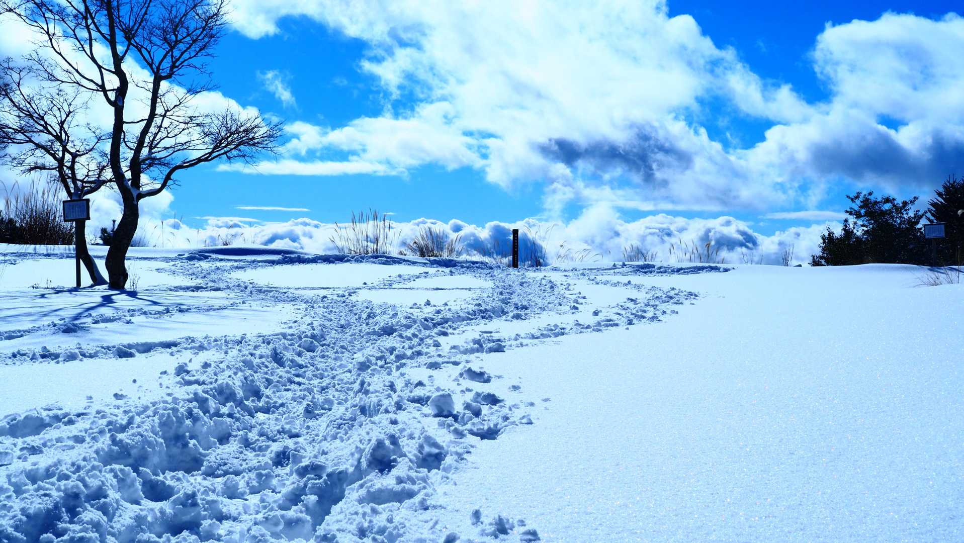 池田山 往復コースの写真