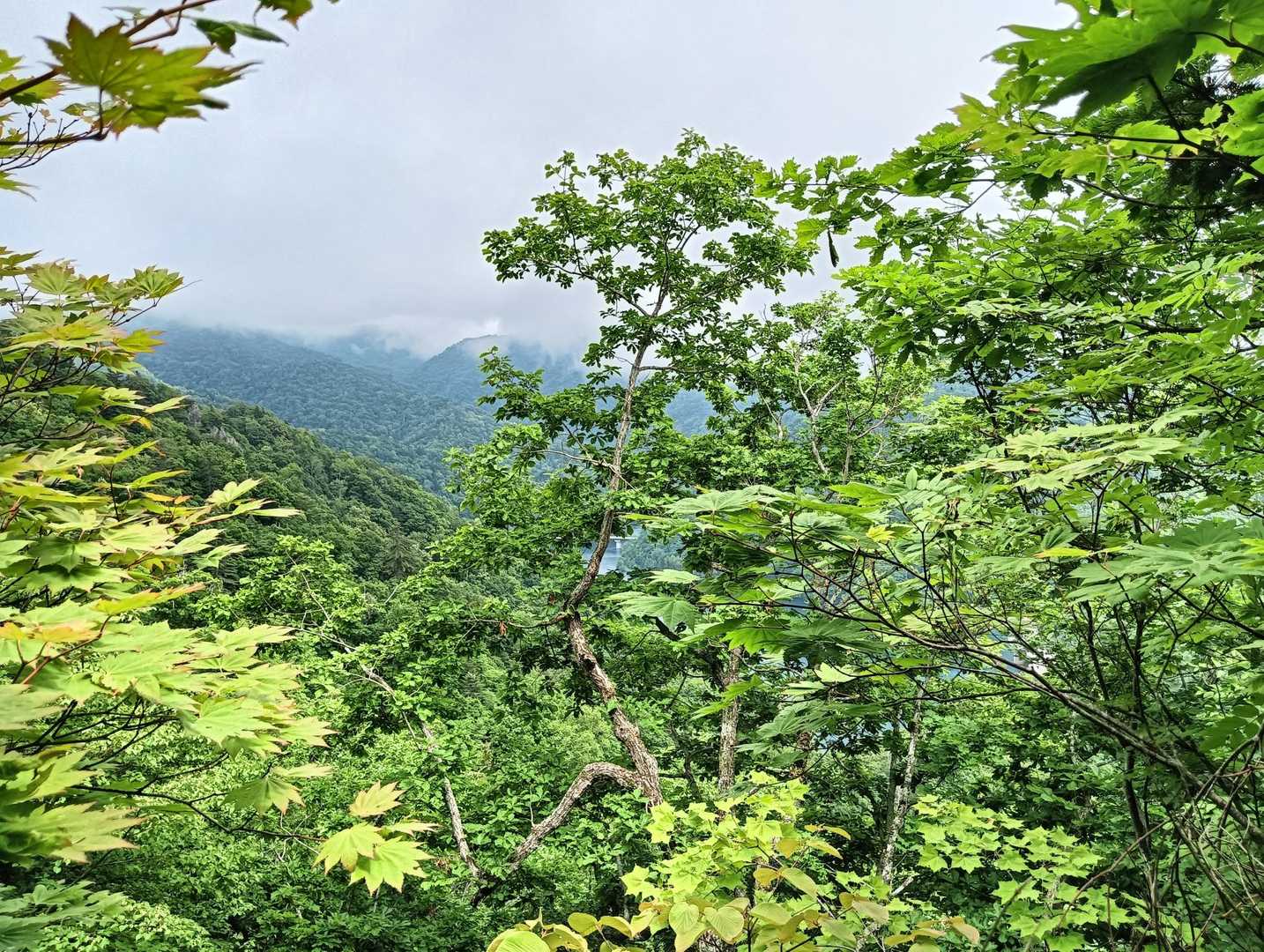 下山途中600m以下からガス無いです
