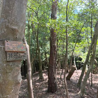 ちょっと歩いて孫熊山に到着