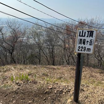 また戻ってきたーー
電線ーーーーー🤣