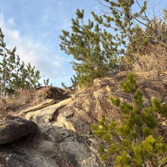 こういう山道も大好き😊
