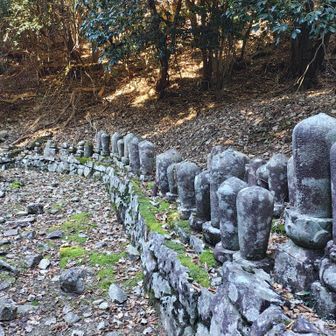 卵塔群、高仙寺の僧侶のお墓だそうです