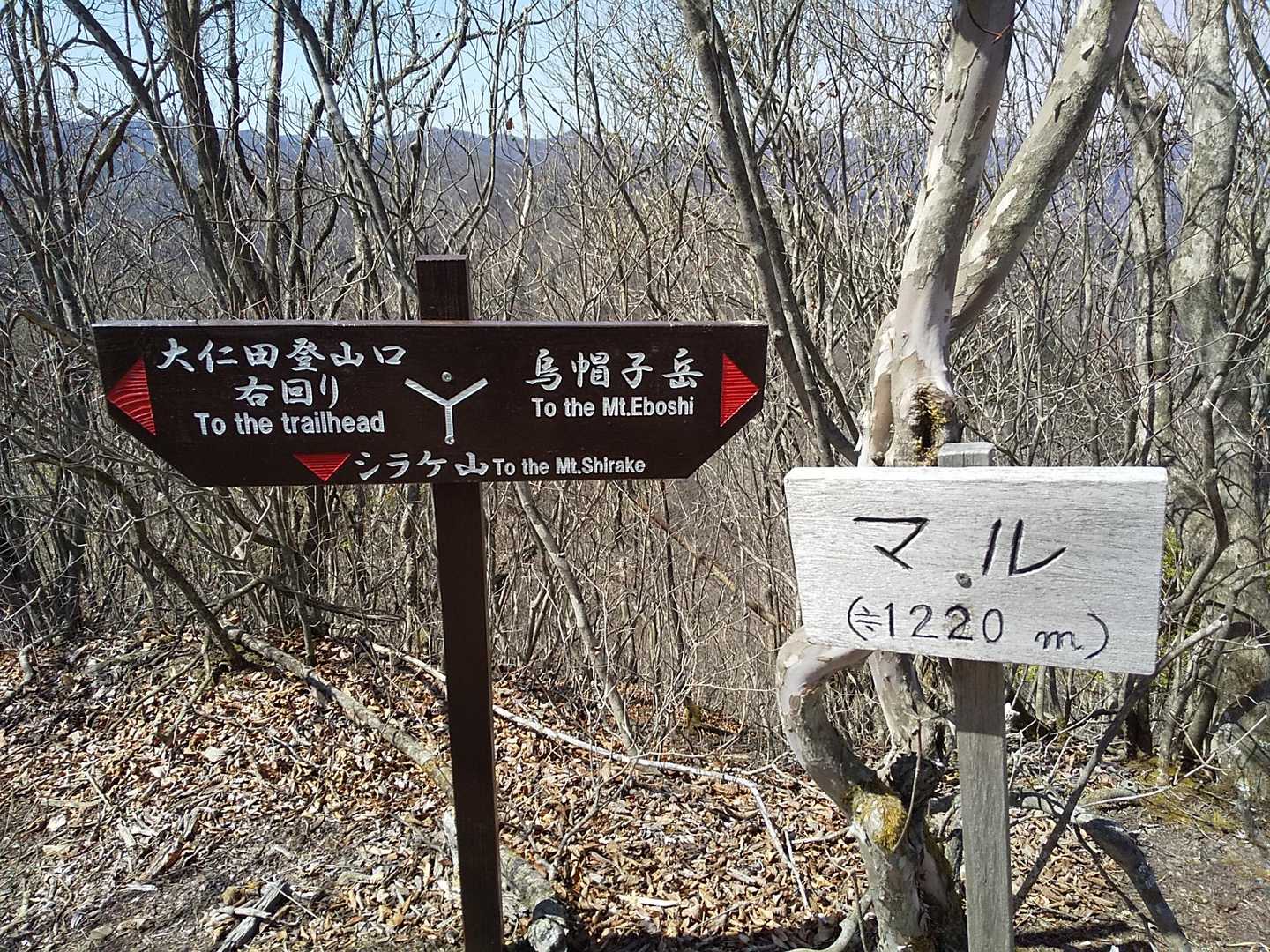 大仁田登山口からのコースが頂上で合流
烏帽子岳には右に下ります