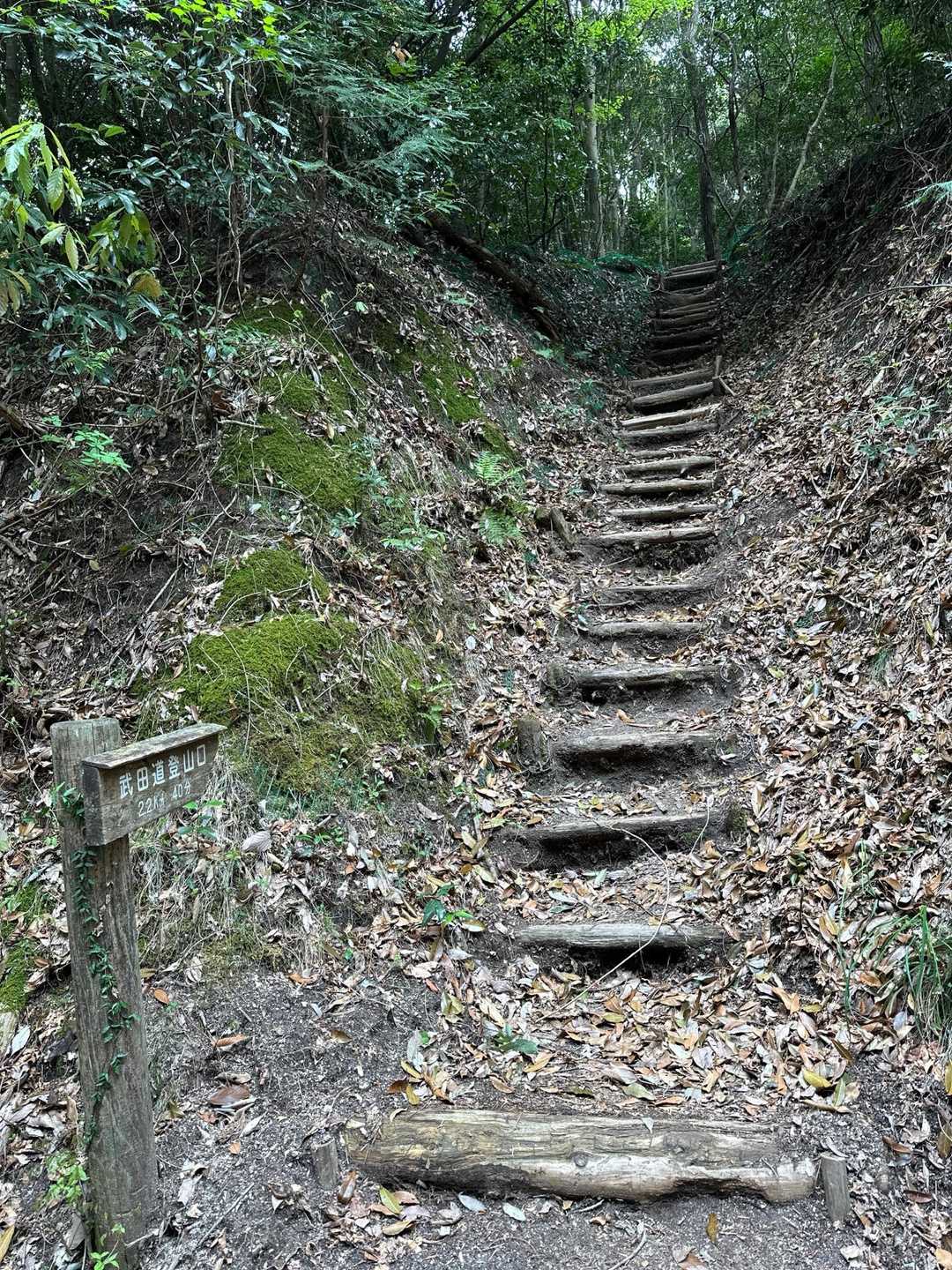 東昌寺-城ヶ峰-御門杉 周回コースの写真
