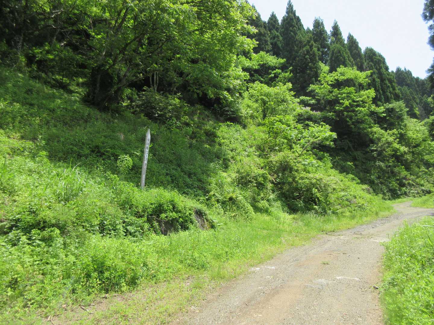東尾根コース登山口に降りてきました，ここから林道です