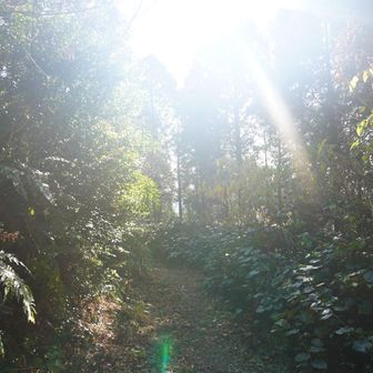 下山していたら晴れてきました😅