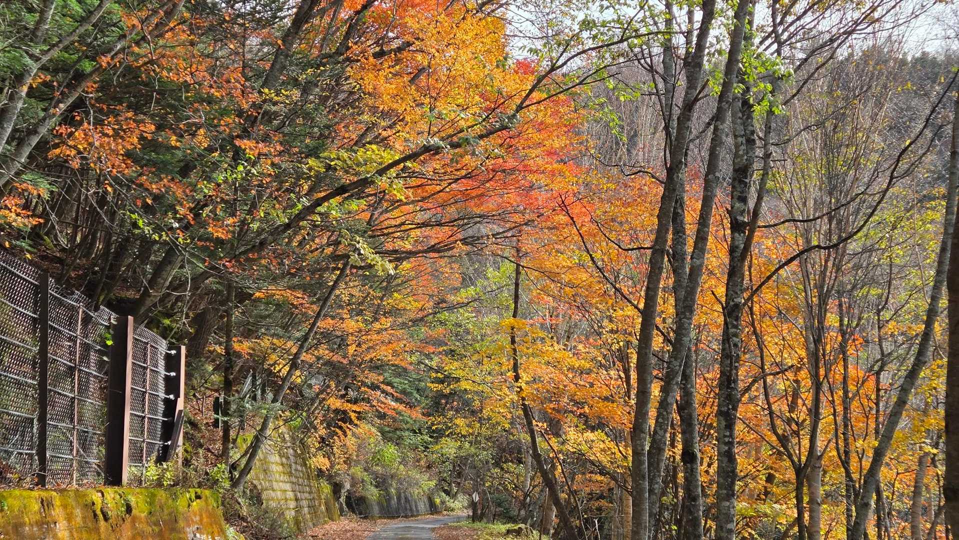 梵字飯場跡-志津峠-大真名子山-小真名子山-富士見峠-女峰 周回コースの写真