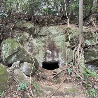 岩に穿たれた穴。やぐらだろうか。