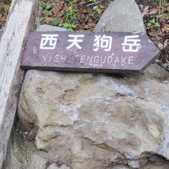 先ずは、西天狗岳👺を目指します。