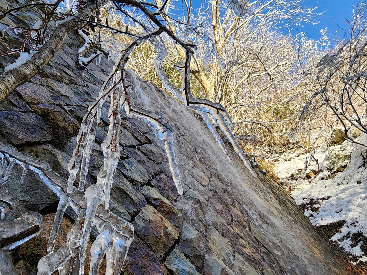 金糞峠-北比良峠-カモシカ台 周回コースの写真