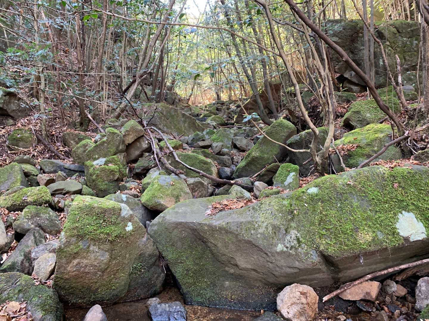 四辻峠-雨乞岳-烏帽子岳-鎧ヶ岳-日平山 周回コースの写真
