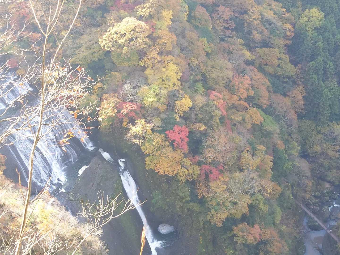 うわぁ～綺麗だぁ〜😆🎶