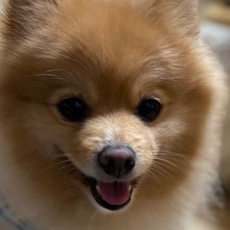すぎちゃん