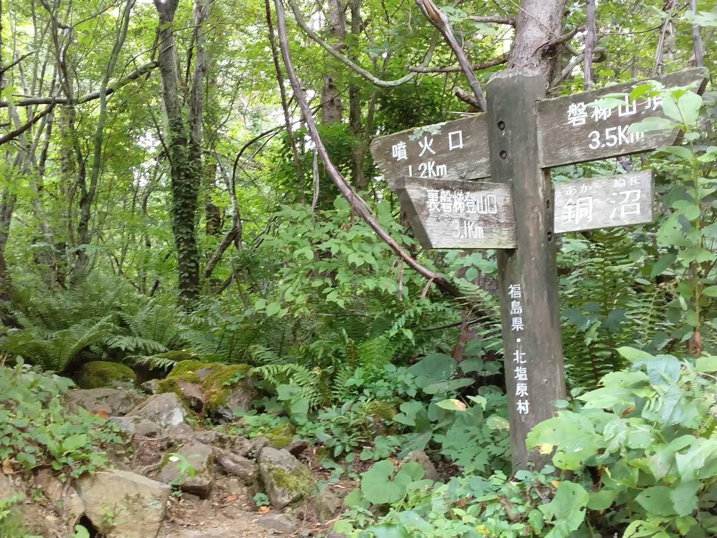 登山道はここから
