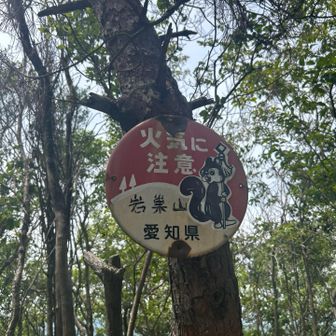 岩巣山山頂