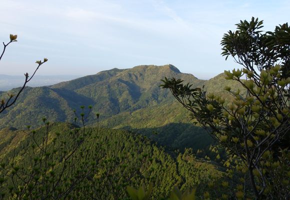 多良岳（佐賀・983m）| 登山ルート・天気 | YAMAP / ヤマップ