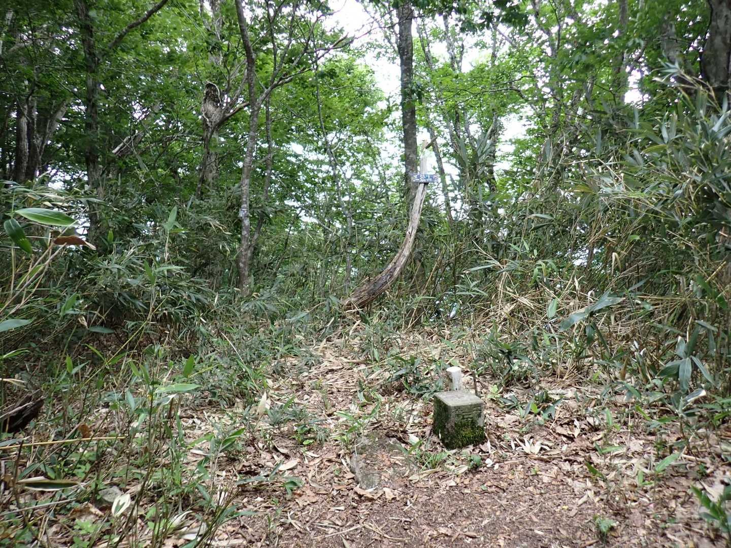 山頂