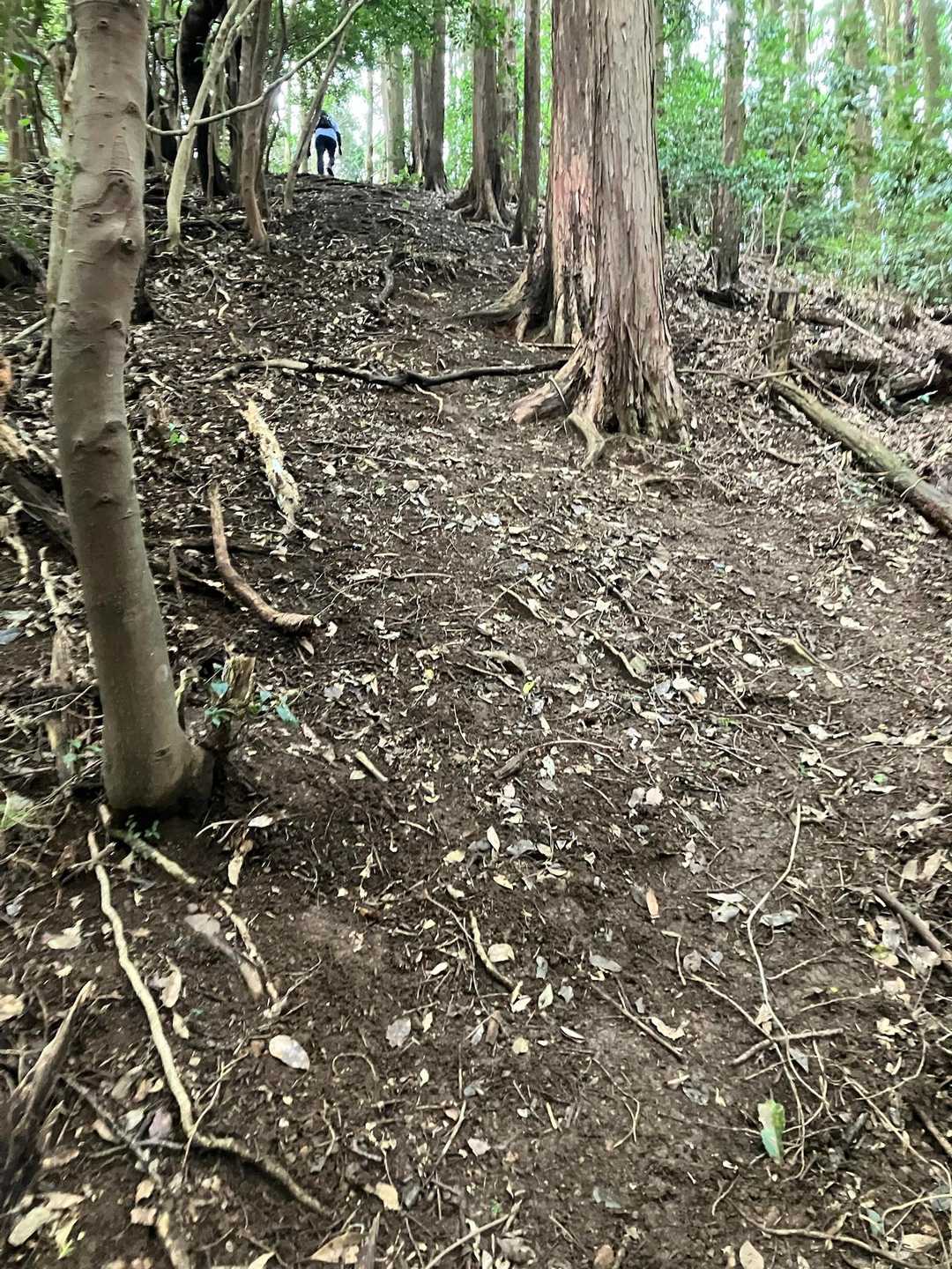 また急登
