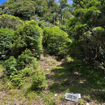 やっと山頂まで5分だ🙌
でもここからが一番しんどかった😌