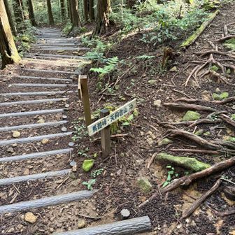 あとは下るのみ
帰りは馬越峠方面から下る