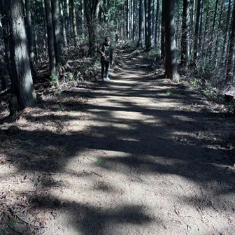 何度歩いても良い道
因みに映ってる人はランシュー履いてるけど、
山靴持ってない初心者というわけでは無い。
あってはならない靴忘れ🫣