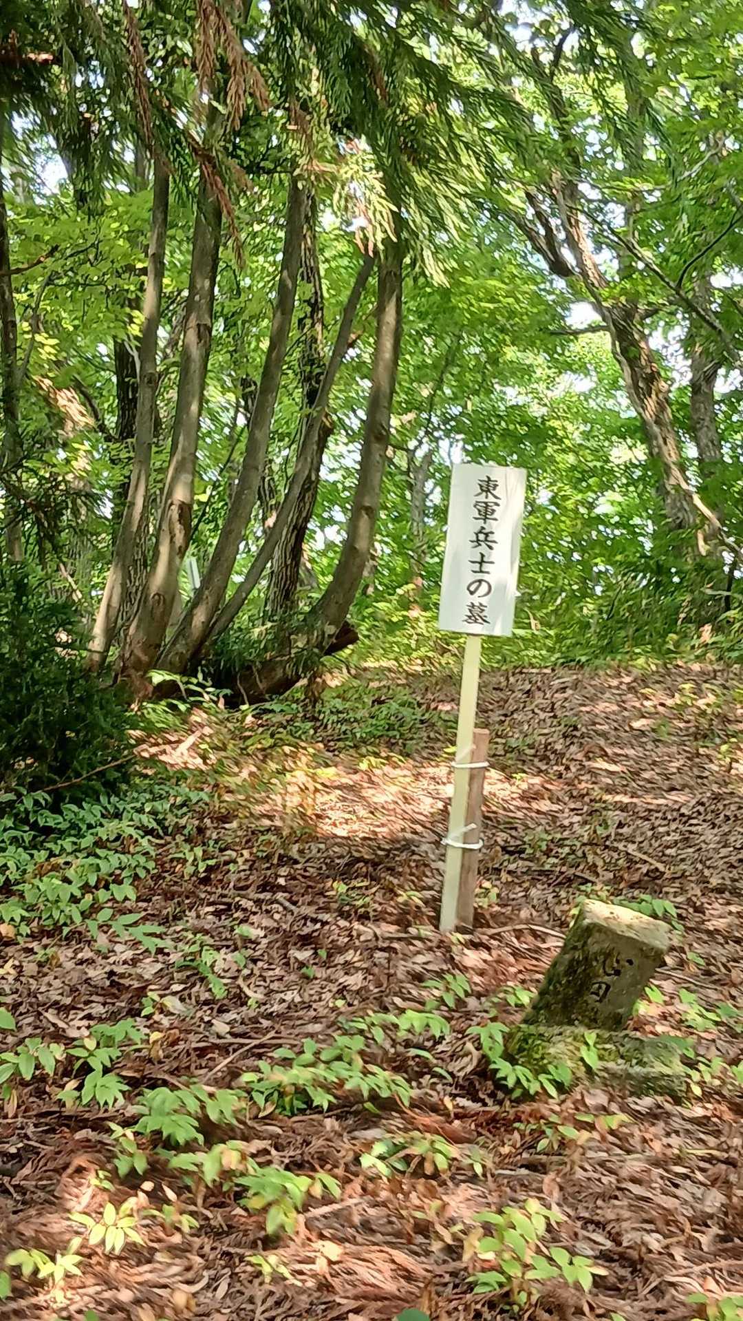 朝日山 往復コースの写真